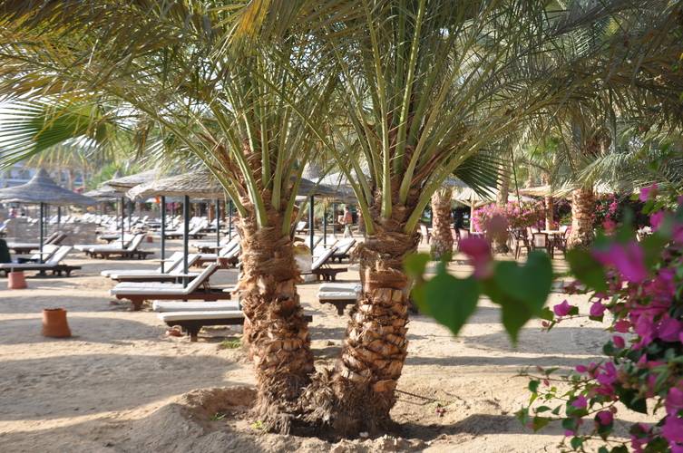 Brayka Bay Resort (Ex. Zee Brayka Bay Reef Resort)