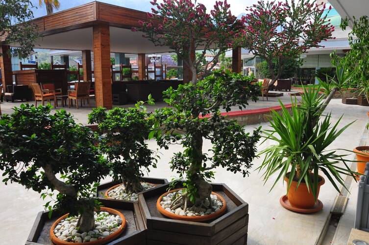 Fore Resort & Spa (Ex.Palmet Beach Resort)