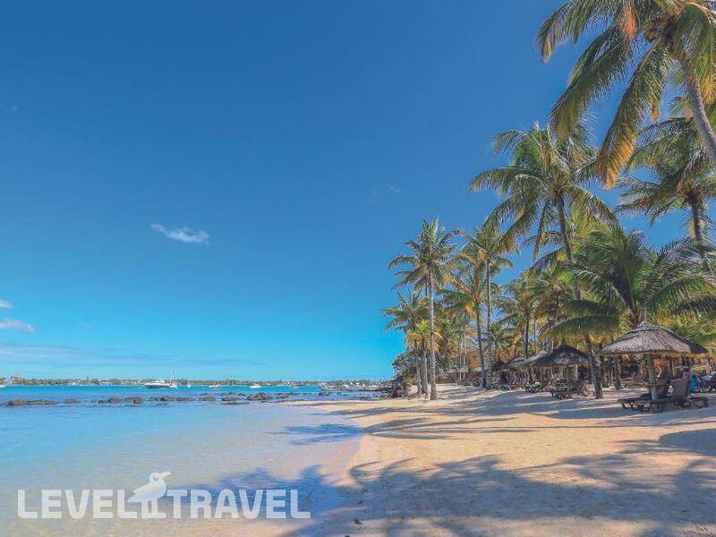 Фотография Mauricia Beachcomber