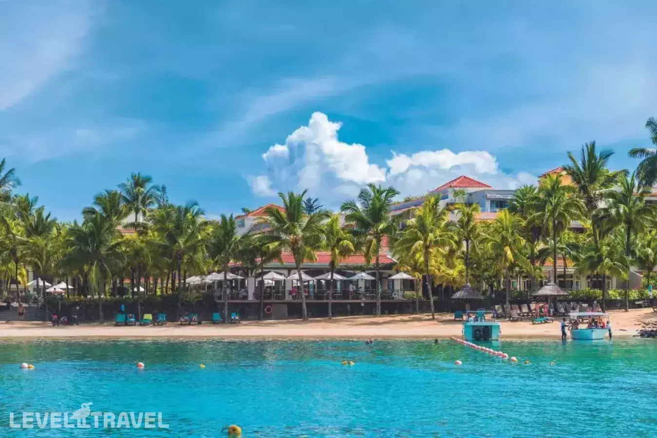 Mauricia Beachcomber