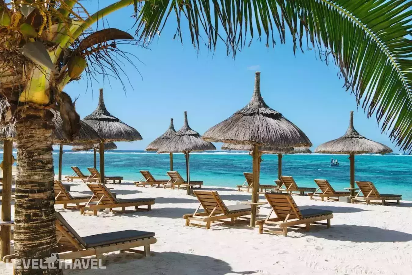 Friday Attitude (Ex. Bouganville)