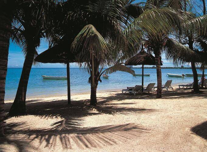 Les Cocotiers