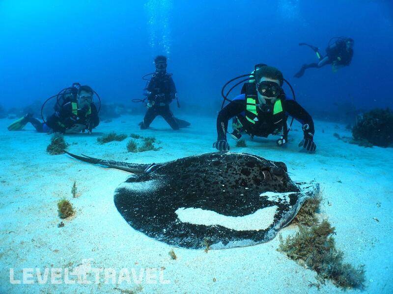 Фотография La Pirogue Mauritius