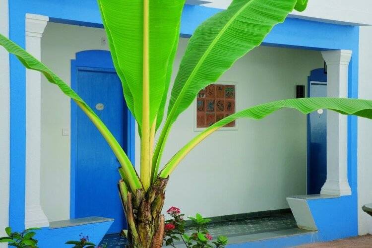 Lemon Tree Amarante Beach Resort