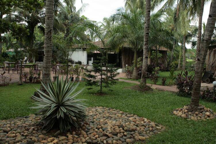 Palm Resort