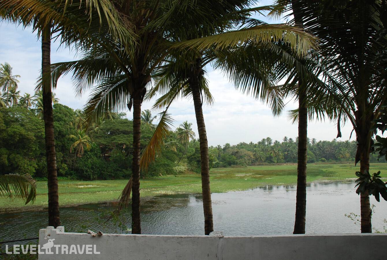 фотографии отеля Alagoa Resort в Индия(Беталбатим) - фото №7