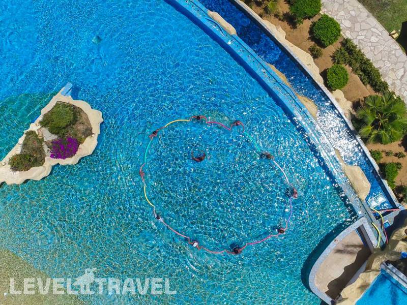 Фотография Medina Belisaire & Thalasso Фотография Medina Belisaire & Thalasso