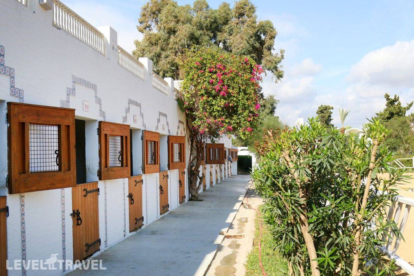 The Orangers Beach Resort & Bungalows — фото 5