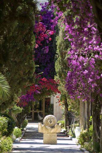 Les Orangers Beach Resort & Bungalows