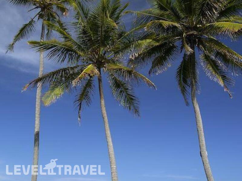 Фотография The Palms Zanzibar