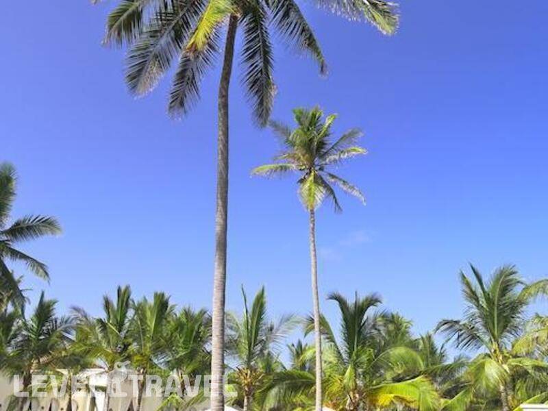 Фотография Baraza Resort & Spa