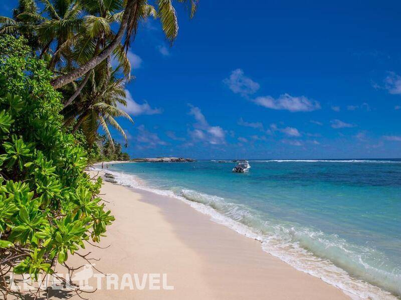 Фотография Chalets D’Anse Forbans