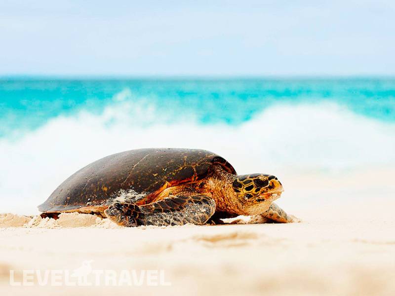 Фотография Fregate Island Private