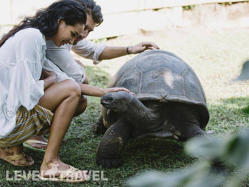 Фотография Raffles Seychelles