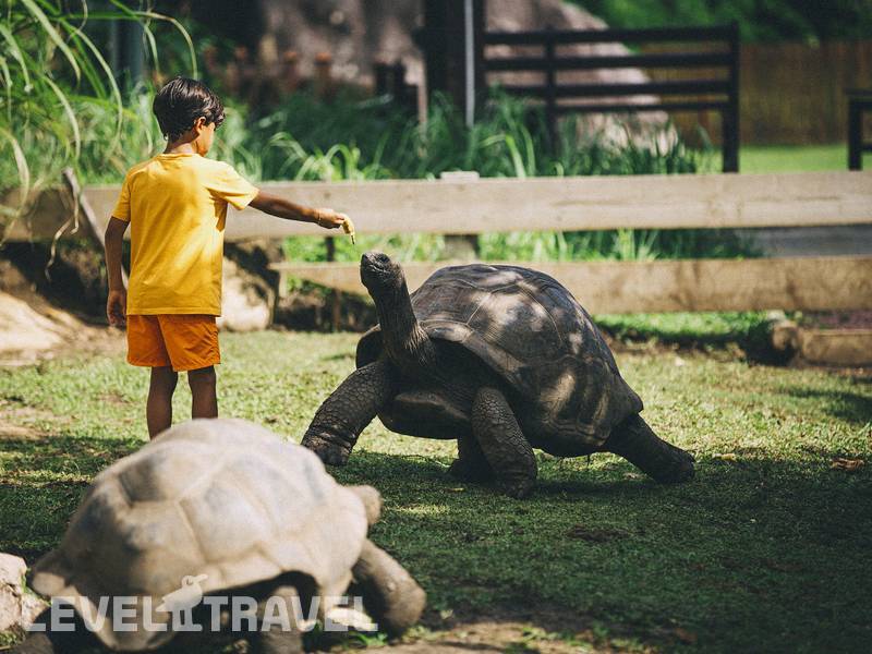 Фотография Raffles Seychelles