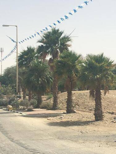 Leonardo Plaza Dead Sea (Ex. Leonardo Privilege Dead Sea)