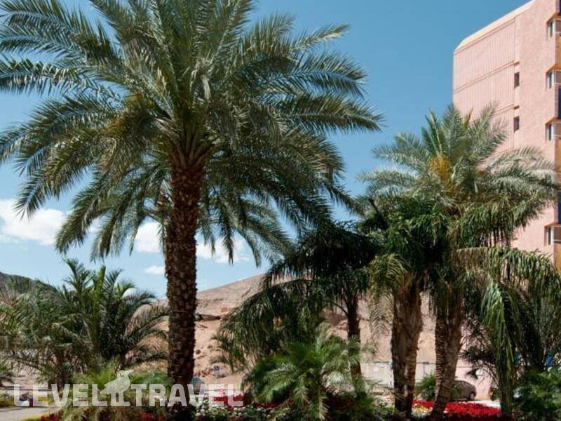 Фотография Prima Music Eilat