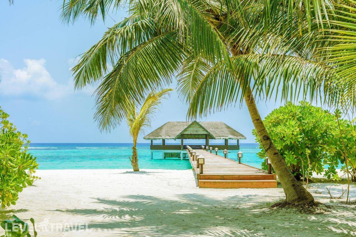 фотографии отеля Palm Beach Resort & Spa Maldives в Мальдивы(Лавиани Атолл) - фото №4