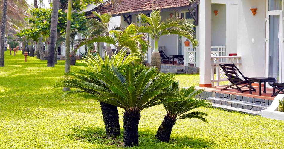 Hoi An Beach Resort