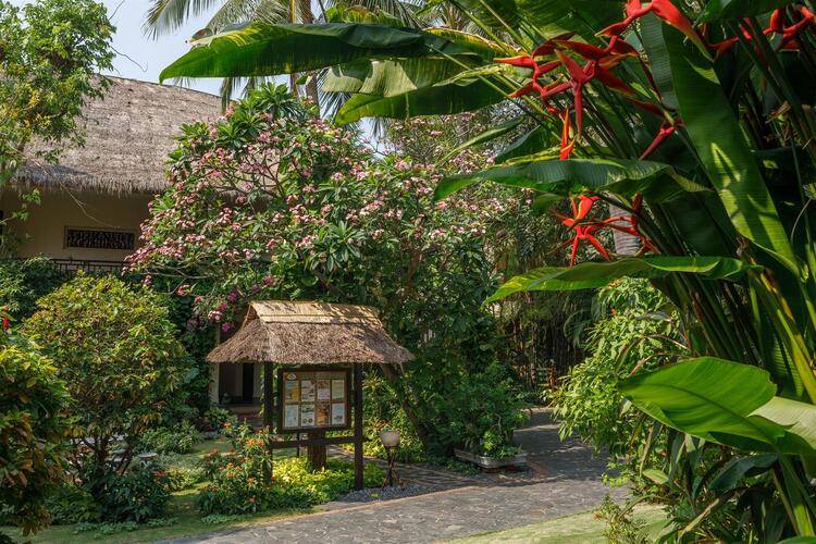 Bamboo Village Resort & Spa