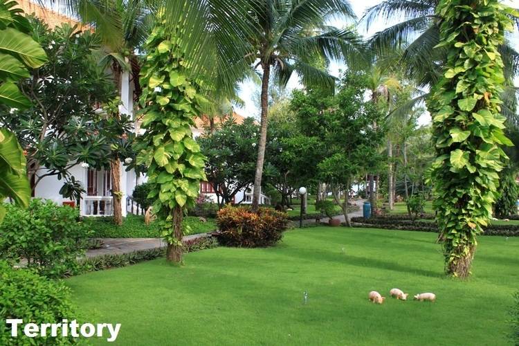 Bon Bien Resort