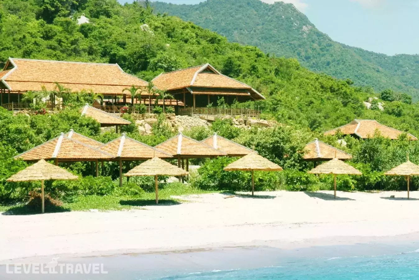 Wild Beach Resort & Spa