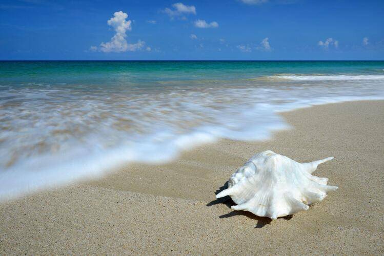 Andaman White Beach Resort