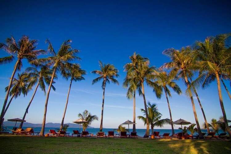 Coco Palm Beach Resort