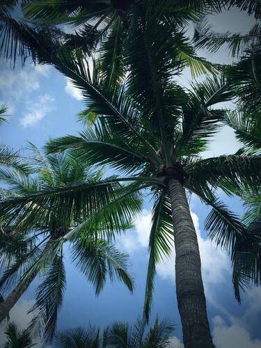 Crowne Plaza Resort Sanya Bay (Ex.Grand Fortune Bay Hotel Sanya)