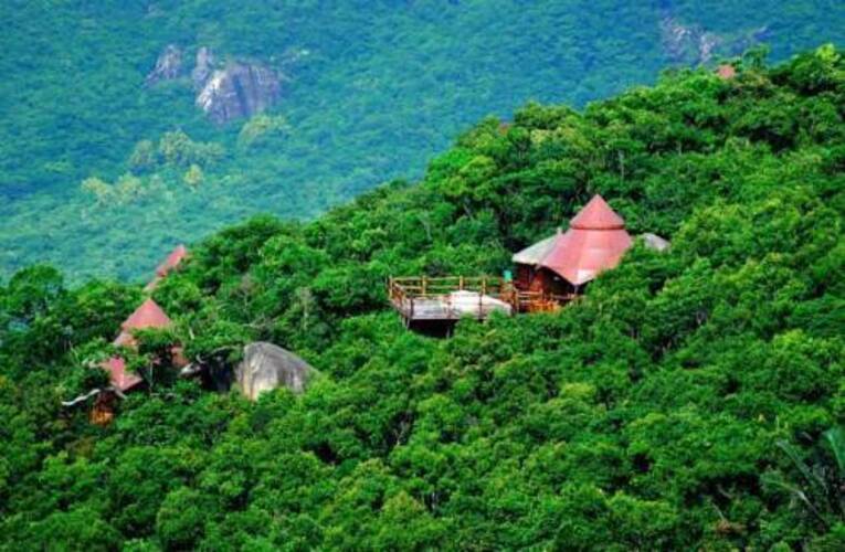 Yalong Bay Earthy Paradise Bird's Nest Resort
