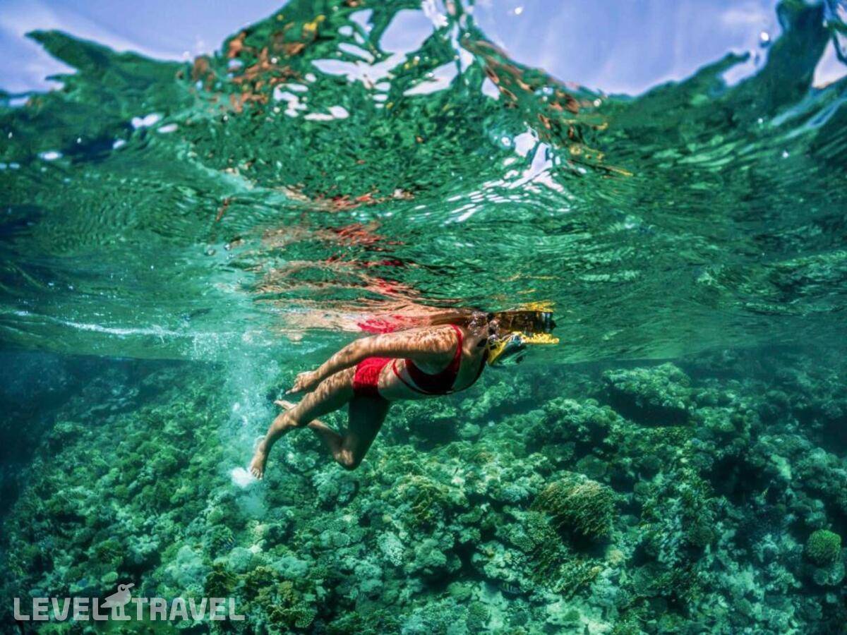 фотографии отеля Rixos Sharm El Sheikh (Adults Only 18+) в Египет(Rixos Шарм-эль-Шейх) - фото №13