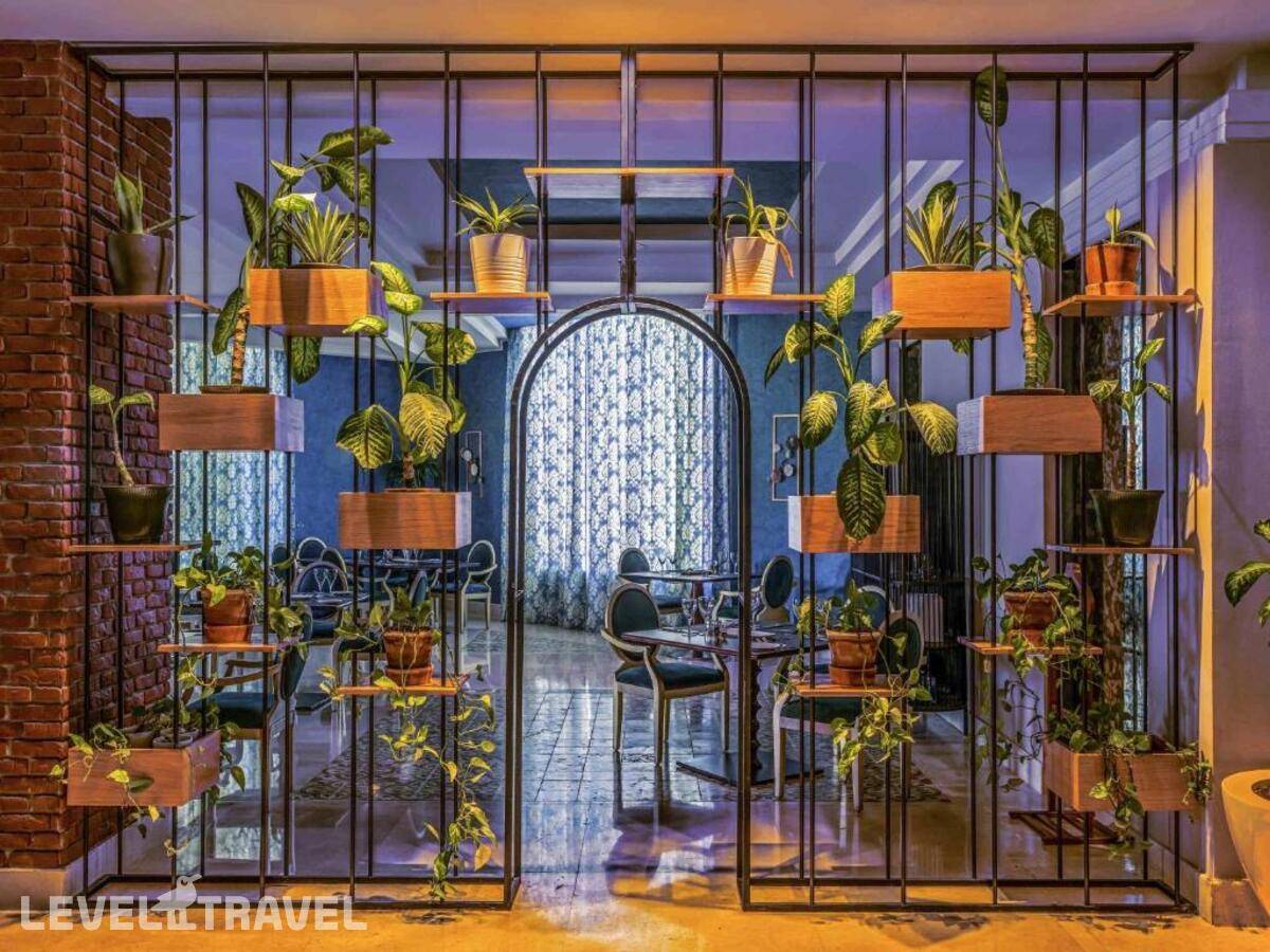 фотографии отеля Rixos Sharm El Sheikh (Adults Only 18+) в Египет(Rixos Шарм-эль-Шейх) - фото №7