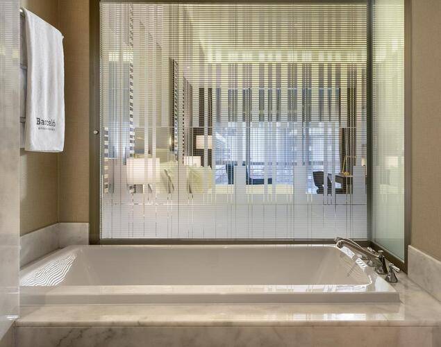 Barcelo Istanbul Hotel (Ex. Marti Istanbul Hotel)