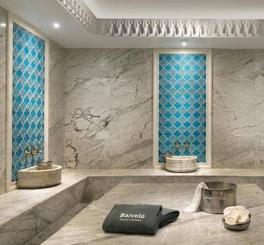 Barcelo Istanbul Hotel (Ex. Marti Istanbul Hotel)