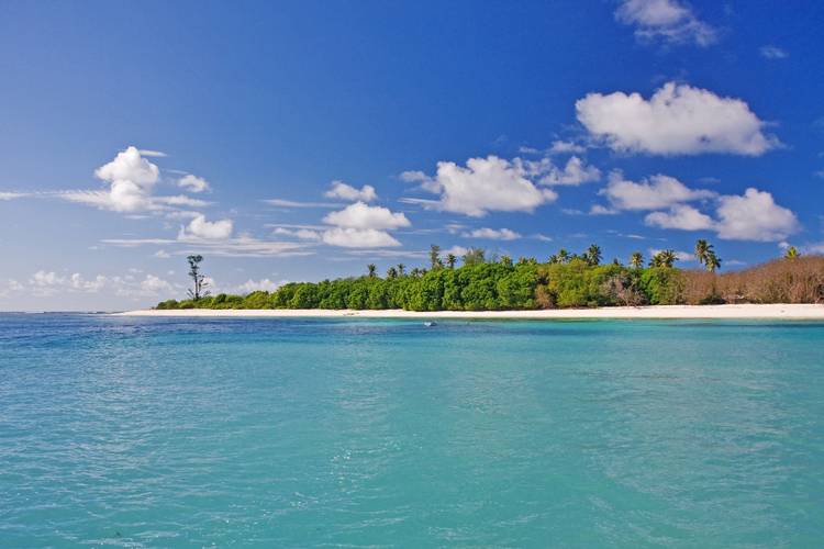 Bird Island Lodge