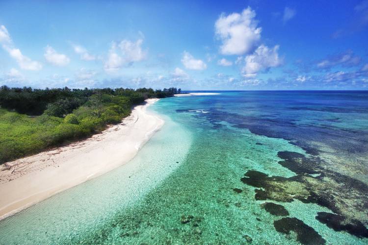 Bird Island Lodge