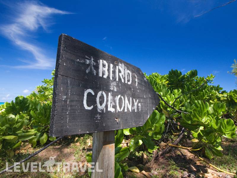 Фотография Bird Island Lodge