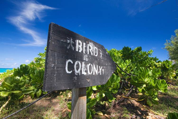 Bird Island Lodge