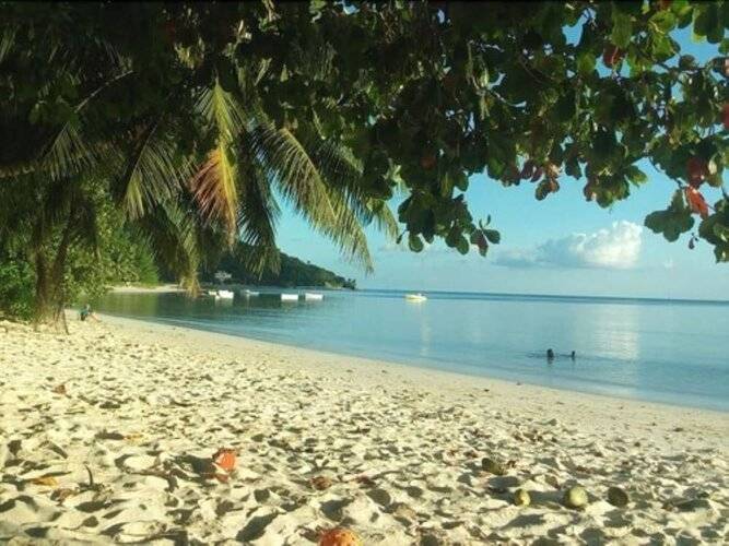 Palm Beach Hotel