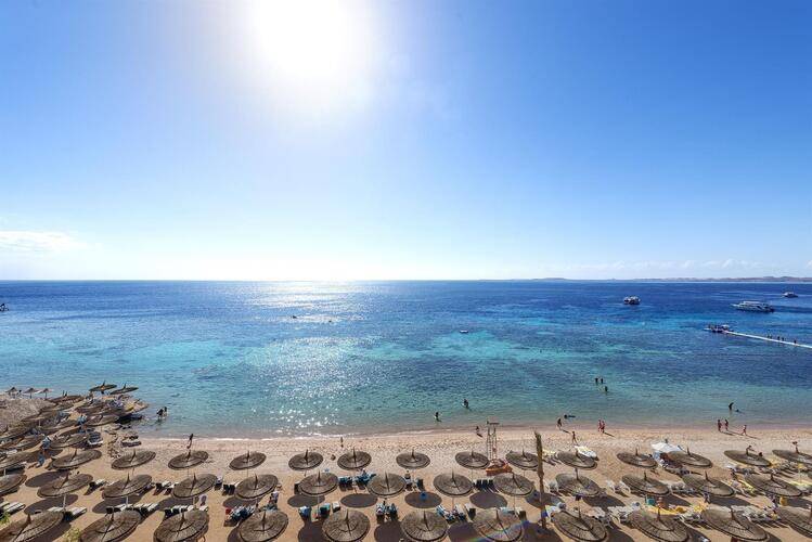 Reef Oasis Beach Resort