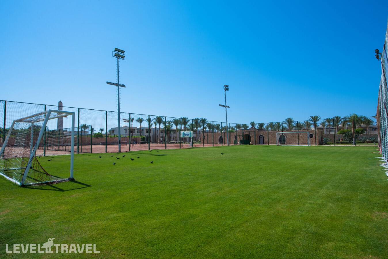 фотографии отеля Reef Oasis Beach Resort в Египет(Рас-Ум-Эль-Сид) - фото №35