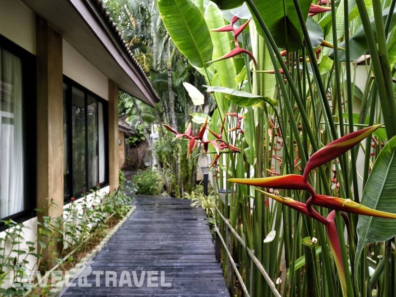 Фотография Phuket Island View Hotel