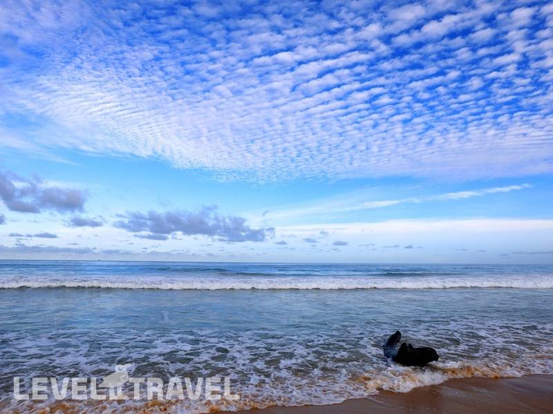 Фотография Phuket Island View Hotel