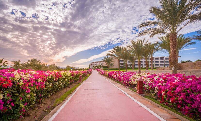 Fort Arabesque The Villas