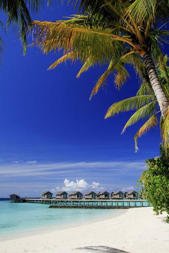 Centara Ras Fushi Resort & Spa (Adults Only 18+)