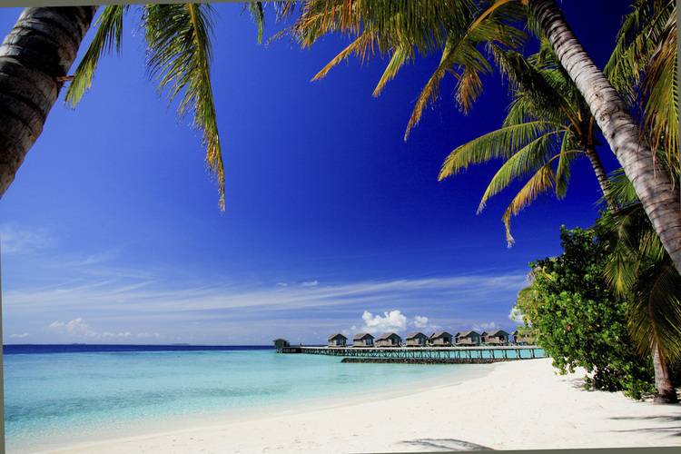 Centara Ras Fushi Resort & Spa (Adults Only 18+)