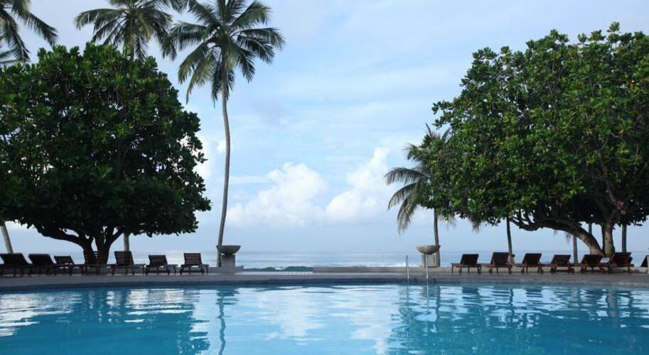 Citrus Hikkaduwa (Ex. Amaya Reef)