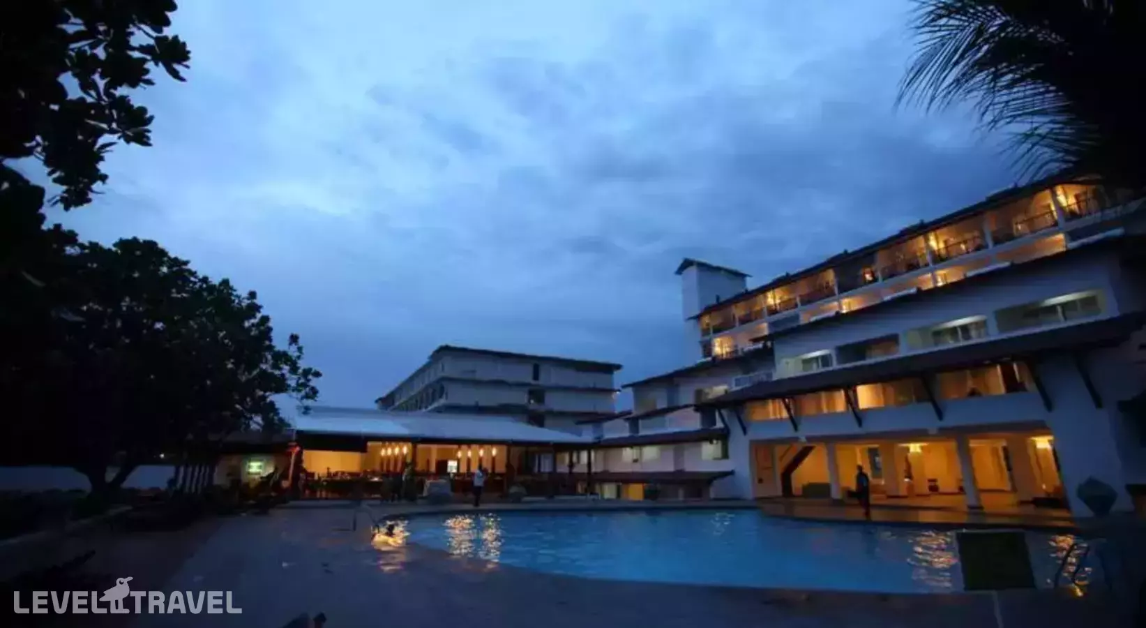 Citrus Hikkaduwa (Ex. Amaya Reef)