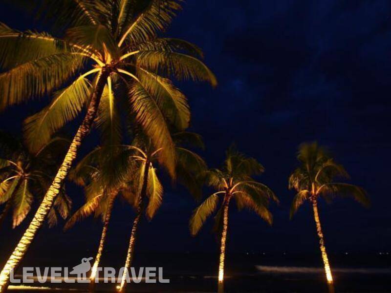 Фотография Citrus Hikkaduwa (Ex. Amaya Reef)