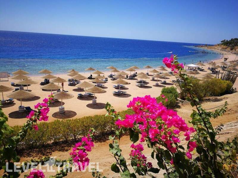 Фотография Domina Coral Bay Harem Deluxe